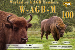 WAGBM 100