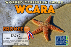 WCARA BRONZE