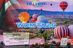 WDMTAA SILVER